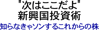 "次はここだよ"新興国投資術-戸松信博